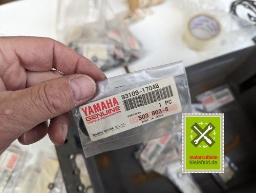 PXL_20240528_175329284